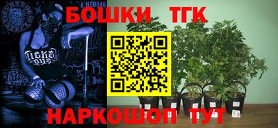 дурь Камышлов