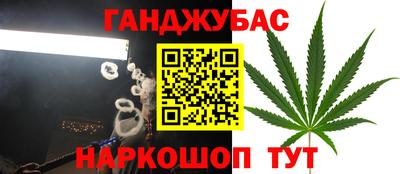 дурь Камышлов