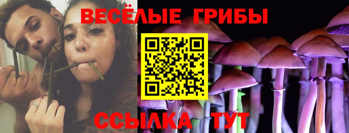 Псилоцибиновые грибы Magic Shrooms  Вход с VPN  Кунгур  Псилоцибиновые грибы GOLDEN TEACHER 